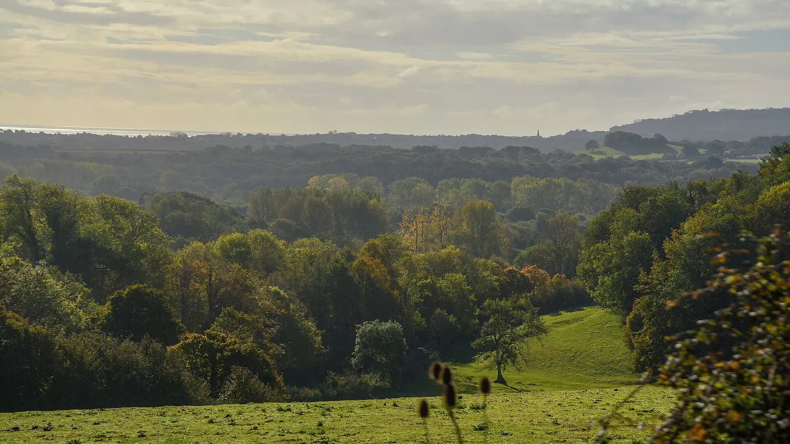 Hen party accommodation near Newchurch, Hampshire