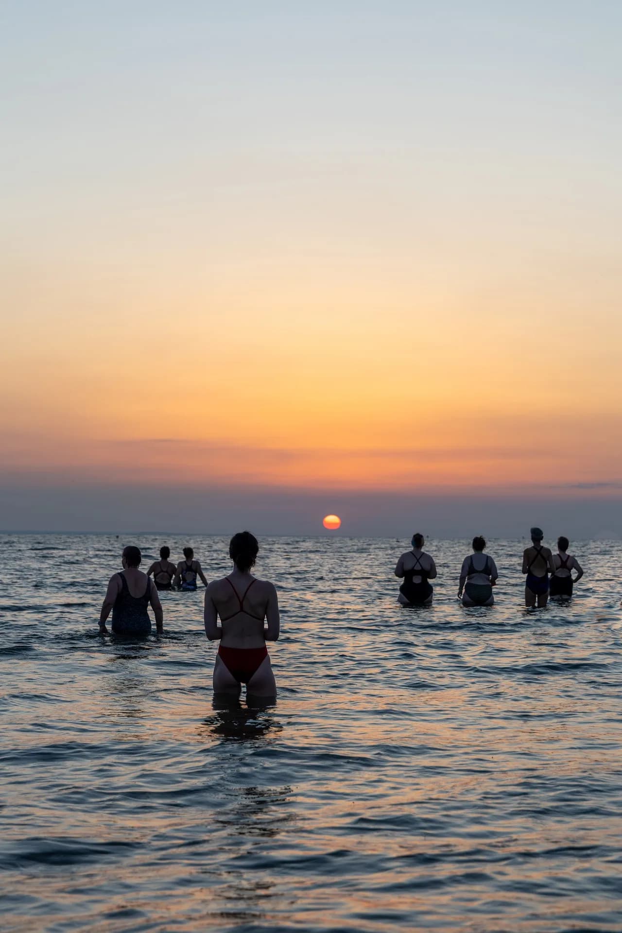 The Wild Swimming Co. logo