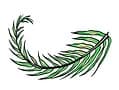 Foraged by Fern logo